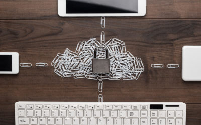 Disaster Recovery and Backup Options to consider to Avoid Data Loss